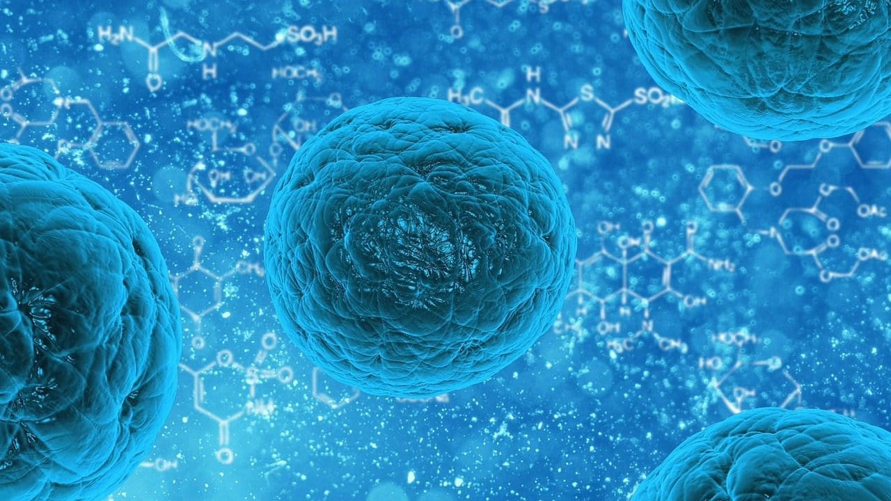 cosmética respetuosa con el microbioma